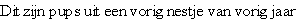 wpa08f4a44.png